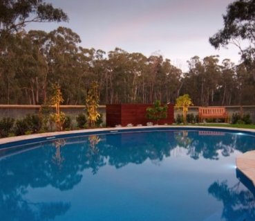 modern-melbourne-inground-swimming-pool-with-wooded-backdrop