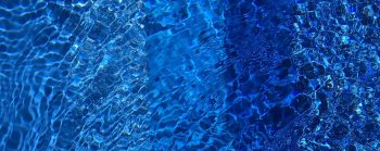Pool Colour Samples in an Albatross Display Pool